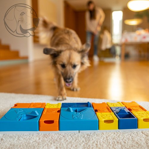 Pawzler Hlavolam pro psy Rainbow Set