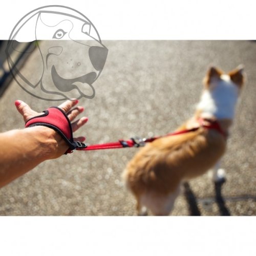 EZYDOG VODÍTKO HANDY LEASH™ , barva modro - černá