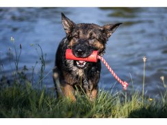 SodaPup USA-K9 přetahovací a plavací hračka firecracker, velká Original – Červená