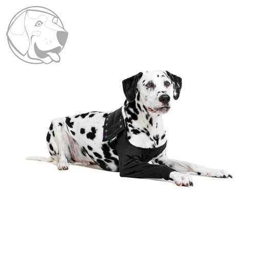 Pooperační ochranné oblečení na přední nohu psa