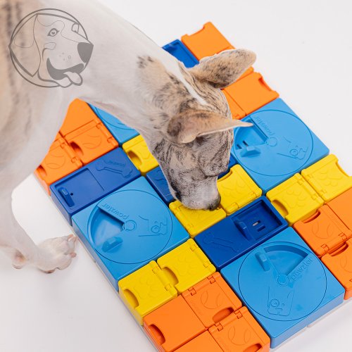 Pawzler Hlavolam pro psy Rainbow Set