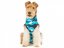 Pooperační ochranné oblečení pro psa modré - Délka hřbetu: 49 - 57 cm