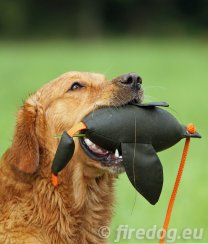 Firedog Dummy Kachna marking malý 400 g růžový / khaki