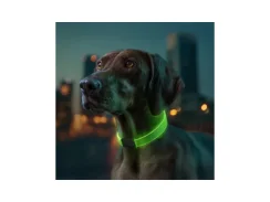 Trojbarevný LED svítící obojek WAU DOG