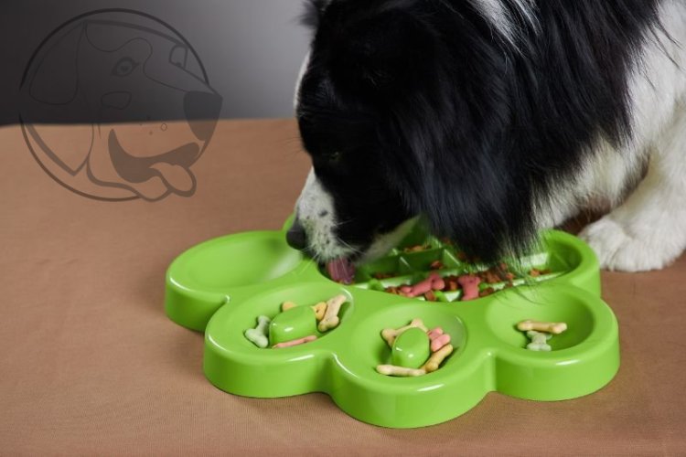 PetDreamHouse zpomalovací miska Paw Slow Feeder – zelená