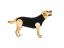Pooperační ochranné oblečení pro psa černé - Délka hřbetu: 55 - 69 cm