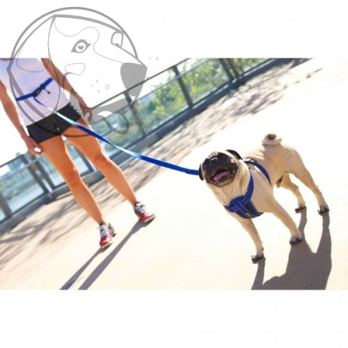 EZYDOG VODÍTKO ROAD RUNNER LEASH™ - BLUE / 210 cm