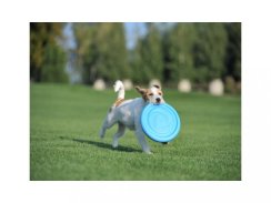 Létajíci talíř Pitchdog 24cm