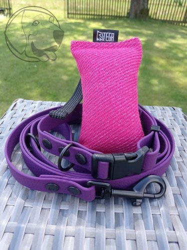Startovací HEXA sada - Barva obojek, vodítko, pešek: růžová, šíře obojků a vodítek: obojek 20 mm/ 150 cm - 20 mm