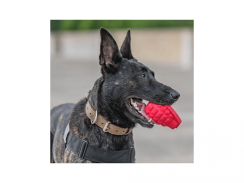 USA K9 granát na pamlsky a žvýkání, Puppy – Růžový