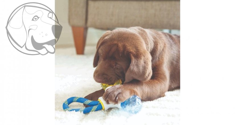 JW Hračka pro štěňata 3 v 1 Puppy Connects