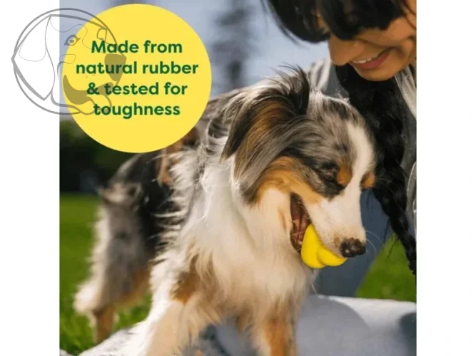 Earth Rated Fetch Toy Aportovací míček – M