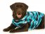Pooperační ochranné oblečení pro psa modré - Délka hřbetu: 80 - 92 cm
