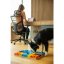 Pawzler Hlavolam pro psy Rainbow Set