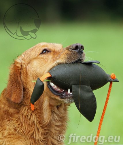 Firedog Dummy Kachna marking velký 600 g béžový / hnědý