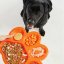 PetDreamHouse zpomalovací miska Paw Slow Feeder – oranžová