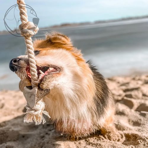 4DOGS Jelení paroží pro psy na laně String Double ,,M"