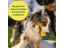 Earth Rated Fetch Toy Aportovací míček – M