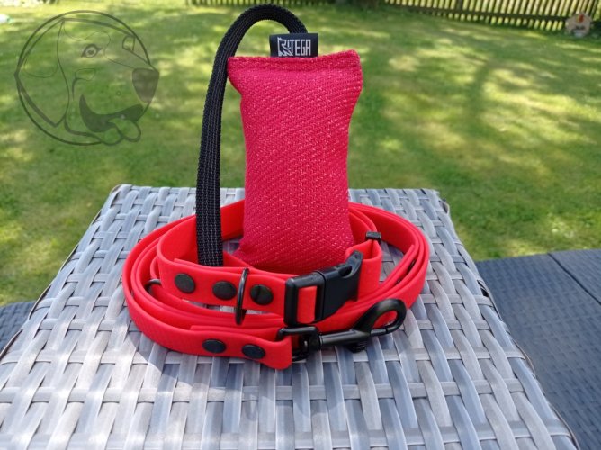 Startovací HEXA sada - Barva obojek, vodítko, pešek: růžová, šíře obojků a vodítek: obojek 20 mm/ 150 cm - 20 mm