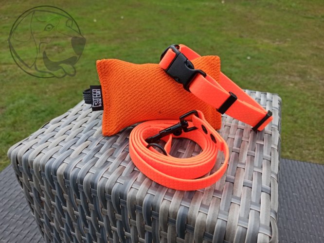 Startovací HEXA sada - Barva obojek, vodítko, pešek: růžová, šíře obojků a vodítek: obojek 20 mm/ 150 cm - 20 mm