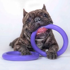 Výcviková pomůcka PULLER MIDI 20cm - sada 2ks