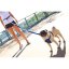 EZYDOG VODÍTKO ROAD RUNNER LEASH™ - BLUE / 210 cm