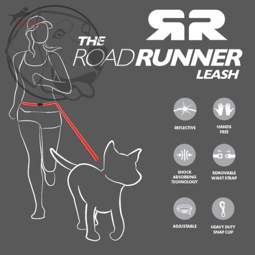 EZYDOG VODÍTKO ROAD RUNNER LEASH™ - BLUE / 210 cm