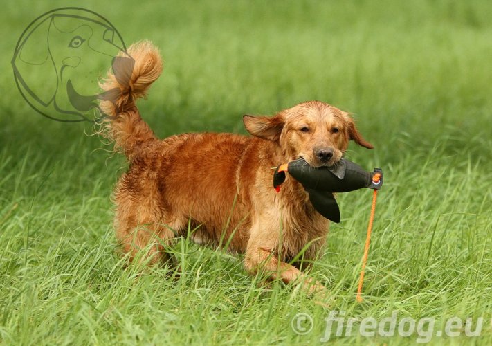 Firedog Dummy Kachna marking velký 600 g béžový / hnědý