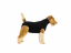Pooperační ochranné oblečení pro psa černé - Délka hřbetu: 55 - 69 cm