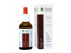 SALVIA VETERINARY CHAGA AF 50 ML ( záněty)