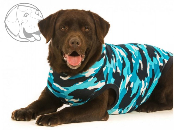 Pooperační ochranné oblečení pro psa modré - Délka hřbetu: 80 - 92 cm
