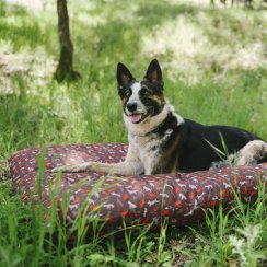 P.L.A.Y. Outdoor Bed Venkovní pelíšek Mocha ,,L" 120 x 90 x 30 cm