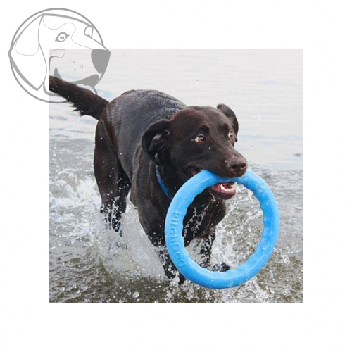 Tréninkový kruh pro psy 17cm