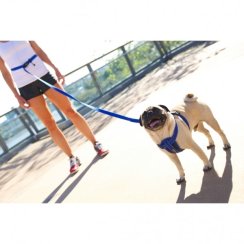 EZYDOG VODÍTKO ROAD RUNNER LEASH™ - BLUE / 210 cm