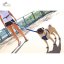 EZYDOG VODÍTKO ROAD RUNNER LEASH™ - ORANGE / 210 cm