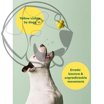 Earth Rated Fetch Toy Aportovací míček – M