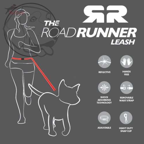 EZYDOG VODÍTKO ROAD RUNNER LEASH™ - ORANGE / 210 cm