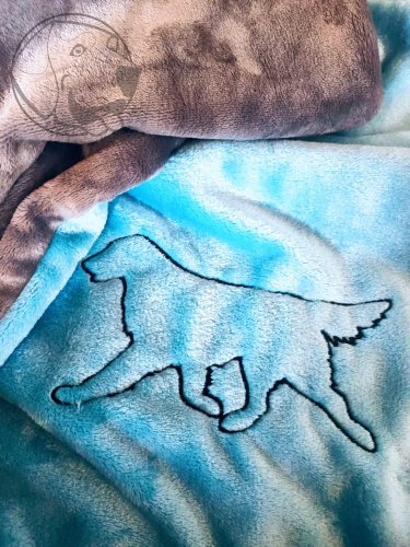 Luxusní plyšová deka ,, flatcoated retriever" 100 x 75 cm -černá výšivka