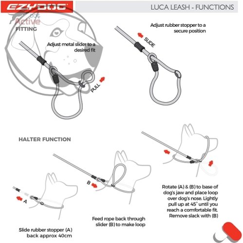 EZYDOG VODÍTKO LUCA LEASH LITE™ - ORANGE