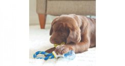 JW Hračka pro štěňata 3 v 1 Puppy Connects
