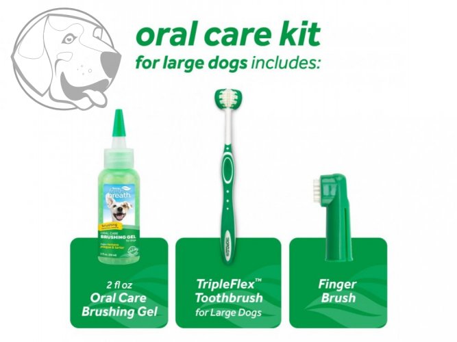 Oral Kit Large - gel s kartáčky - pro psy - 59 ml