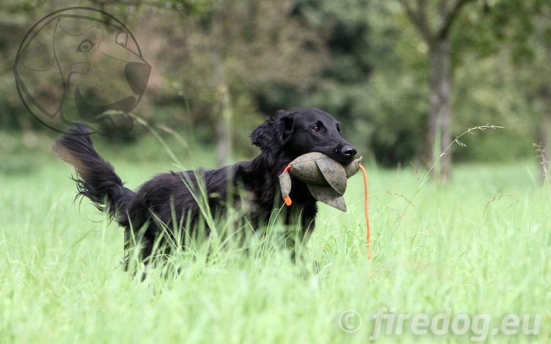 Firedog Dummy Kachna marking velký 600 g béžový / hnědý