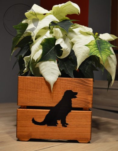 Dřevěný květináč s motivem pejska ,, Teak"