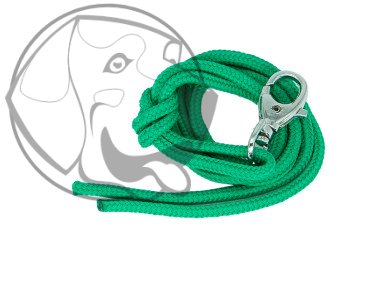 Firedog Řemínek na píšťalku nylon zelený