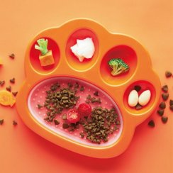 PetDreamHouse zpomalovací miska Paw 2 v 1 Mini – oranžová