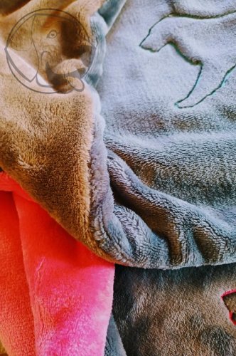Luxusní plyšová deka ,, flatcoated retriever" 100 x 75 cm -černá výšivka - Barva deky: šedo - hnědá