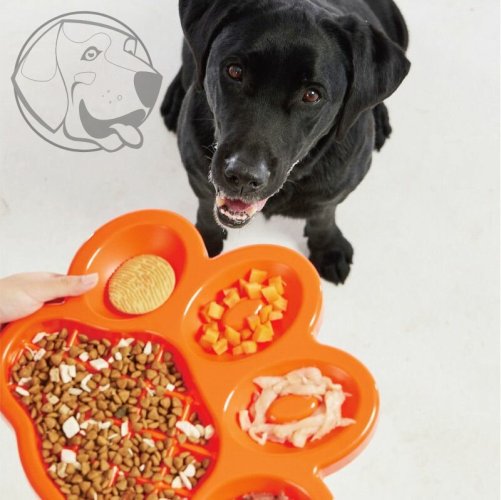 PetDreamHouse zpomalovací miska Paw Slow Feeder – oranžová