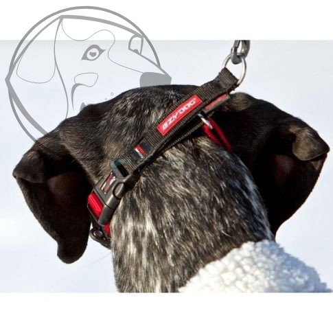 EZYDOG OBOJEK CHECKMATE COLLAR - modrý ,, XL"  56 cm - 83 cm