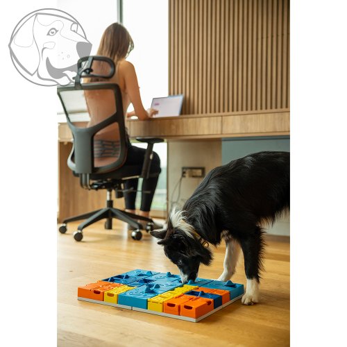 Pawzler Hlavolam pro psy Rainbow Set