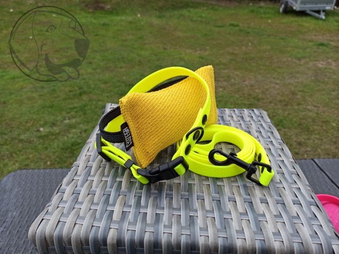 Startovací HEXA sada - Barva obojek, vodítko, pešek: růžová, šíře obojků a vodítek: obojek 20 mm/ 150 cm - 20 mm